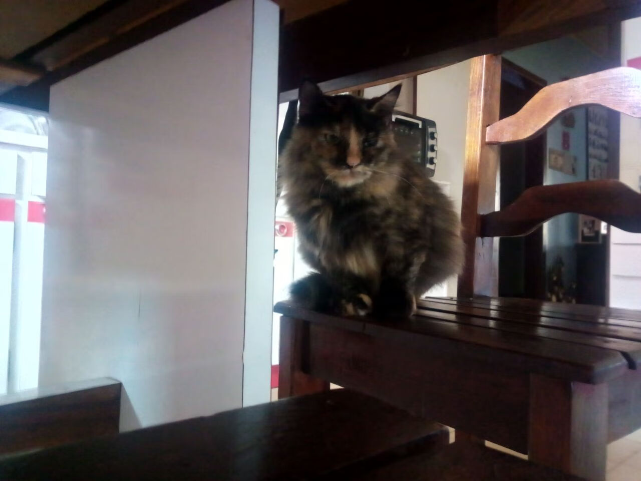 76人恩比德连续多场“30+”,勇攀得分巅峰!,76人恩比德数据