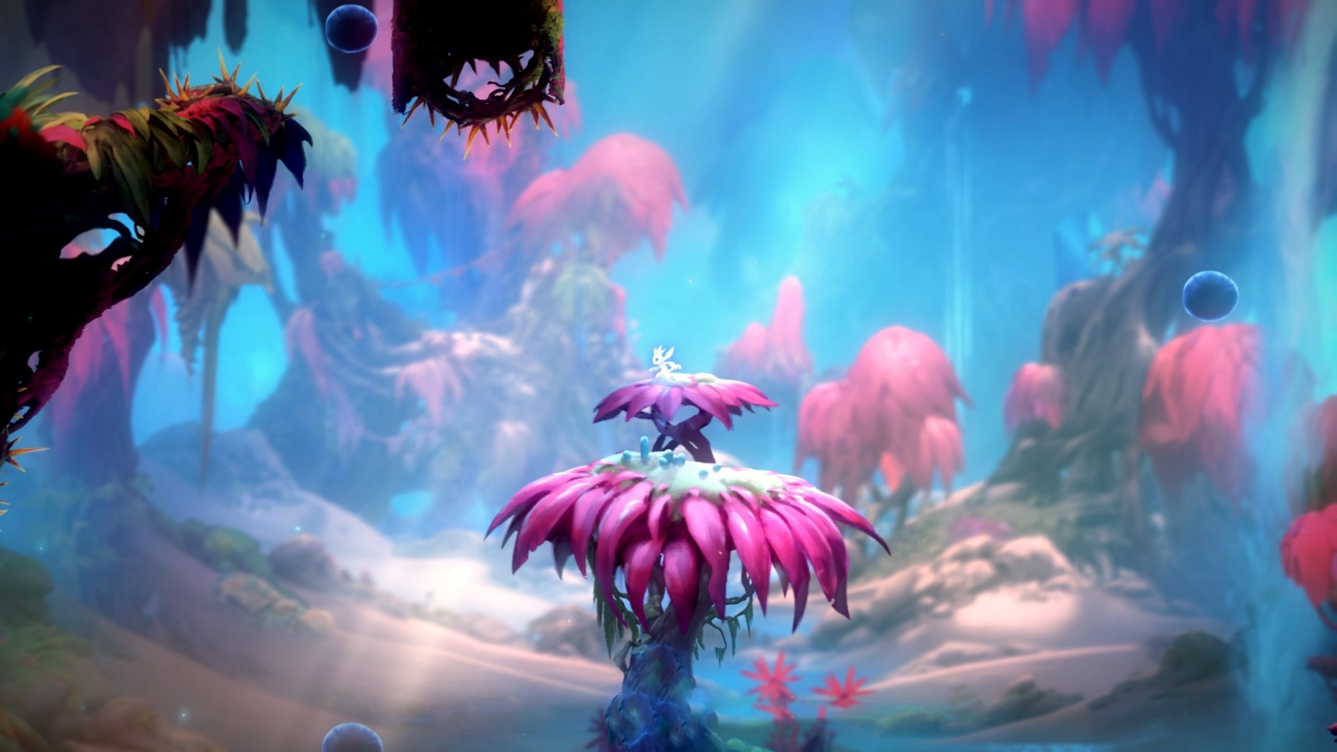 爱游戏体育账号注册-“球队文化：冠军军团的团队精神和文化”，冠军团队是什么