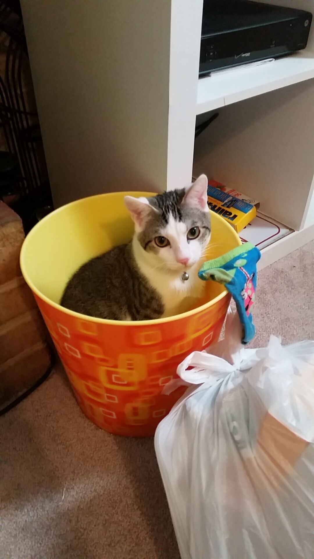 【“秒投”战术分析】是否会成为未来比赛中的“必杀技”？，秒投选手