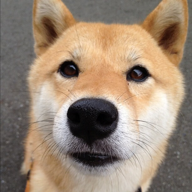 台球比赛现场表演精彩纷呈，观众久久不愿离去，台球比赛简单规则